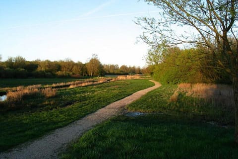 Region [summer] (&gt;5 km)