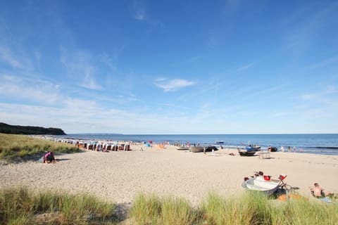 On the beach