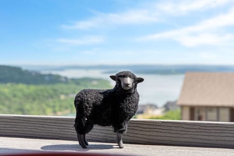 Hi, I'm Earl the black sheep.  I own this lodge and I'm excited to host you!  