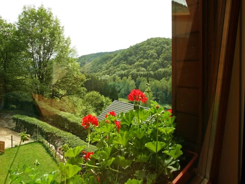 View from Holiday Home [summer]