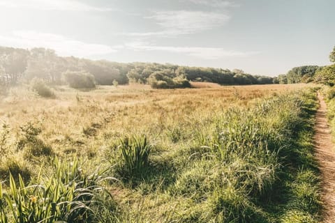 Region [summer] (&gt;5 km)