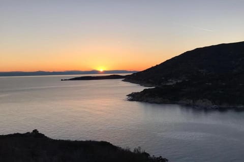 Region [summer] (&gt;5 km)