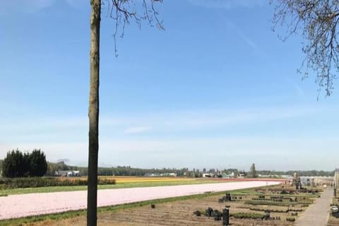 Region [summer] (&gt;5 km)