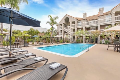 Dive into sunlit pool days with loungers and palms.