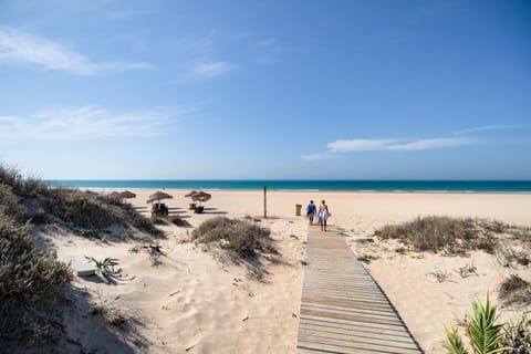 On the beach