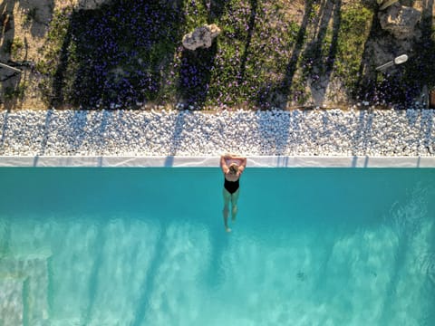 An infinity pool, sun loungers