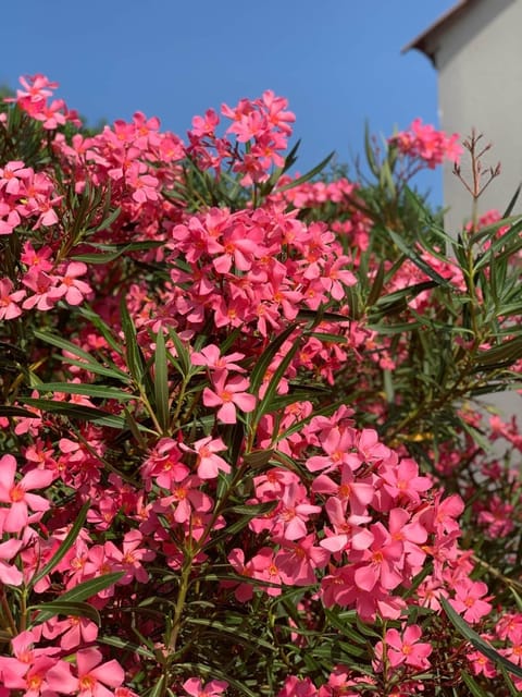 0e645adf-0668-4779-b163-b736060aecc6