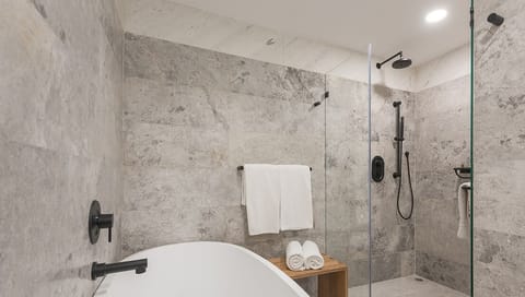 Combined shower/tub, hair dryer, towels