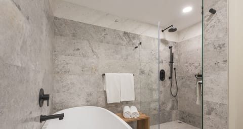 Combined shower/tub, hair dryer, towels