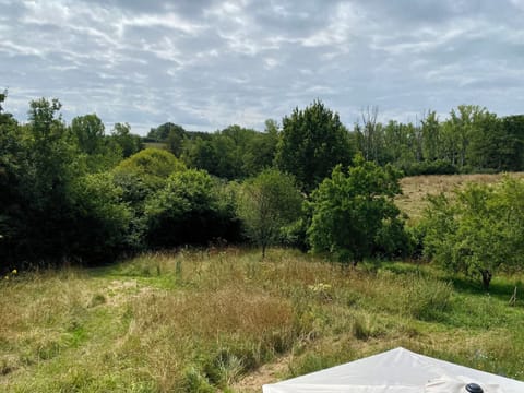 View from bathroom window