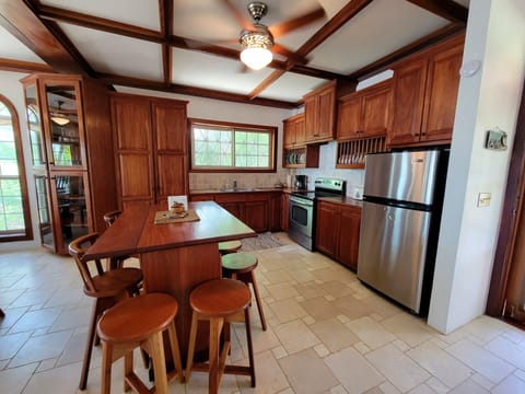 Fridge, oven, stovetop, coffee/tea maker