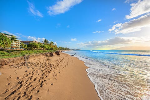 On the beach, sun loungers, beach towels