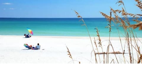 Sun loungers, beach towels