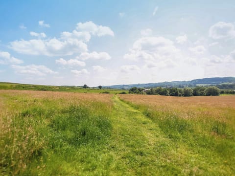 Surrounding area | The Cottage, Stockton