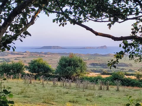 View of Worms Head from the front garden | Ceiliog Bach, Llangennith, near Swansea