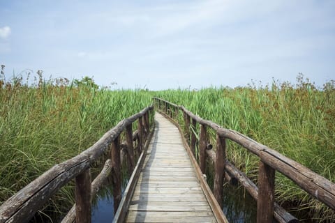 Activities, Autumn, Spring, Summer