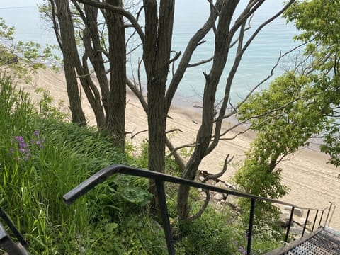 Beach nearby, sun loungers