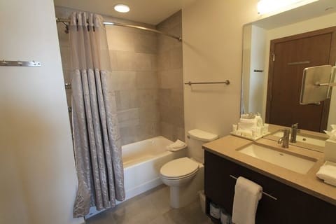 1bedroom suite’s bathroom 