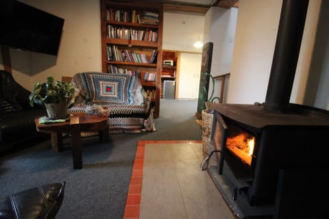 Smart TV, fireplace, books