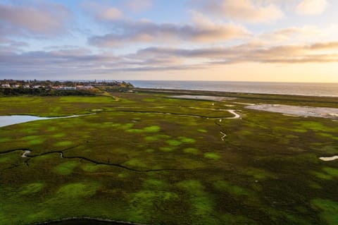 Lagoon Marsh & Ocean View Point