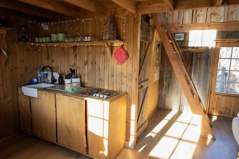 Fridge, stovetop, coffee/tea maker