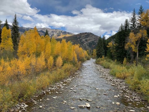 Inspiring beauty can be yours