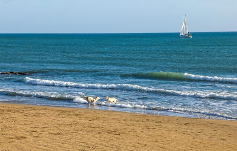 Beach nearby