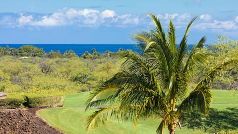 Ocean Views from throughout the main floor and lanai (zoomed photo)