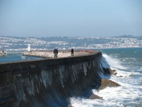 Beach/ocean view