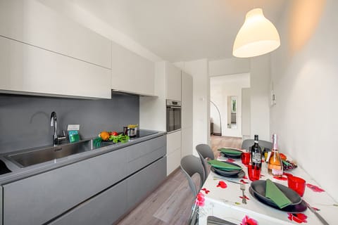 The kitchen with dishwasher and induction hob