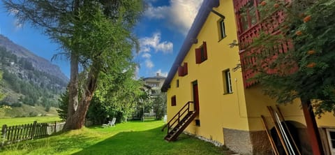 Exterior view garden summer