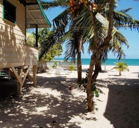 Sun loungers, beach towels