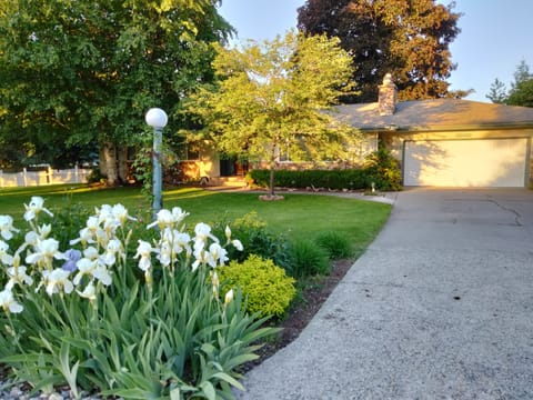Front yard in Spring season