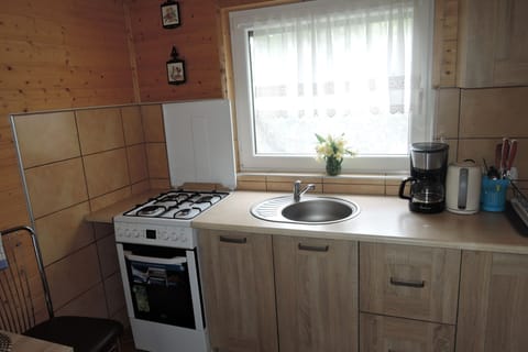 Fridge, oven, stovetop, coffee/tea maker