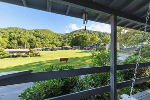 Views from the front porch