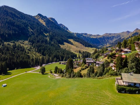 Immediate Surroundings [summer] (&lt;1 km)