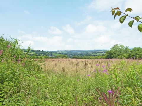 View | Lower Barn, Dolgran