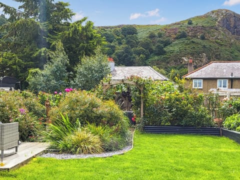 Garden | Afallon, Conwy