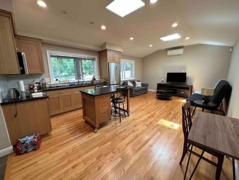 Large living room with a full size sofa bed and extra couch