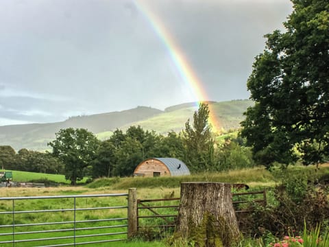 Setting | Barcud Coch - Y Gadlas, Penybontfawr, near Llanfyllin