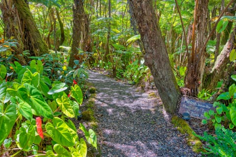 The gravel trail will lead you to the back building where The Nene Room is.