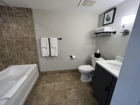 Combined shower/tub, hair dryer, towels