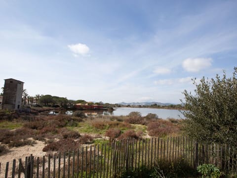 Cloud, Sky, Plant, Water, Body Of Water, Land Lot, Fence, Natural Landscape, Grass, Wood