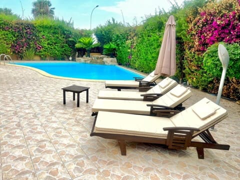 Outdoor pool, sun loungers