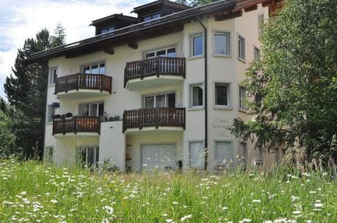 Exterior view Summertime