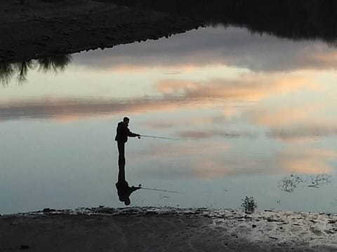 le lac de charmes et ses beaux paysages