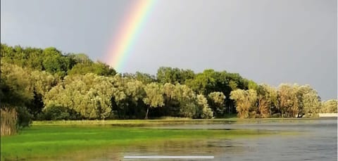 4CC67BC2-8230-473B-BD2C-31B20FCF5875