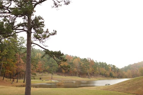 Extraordinarily Beautiful Setting