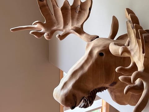 Mountain ambiance décor