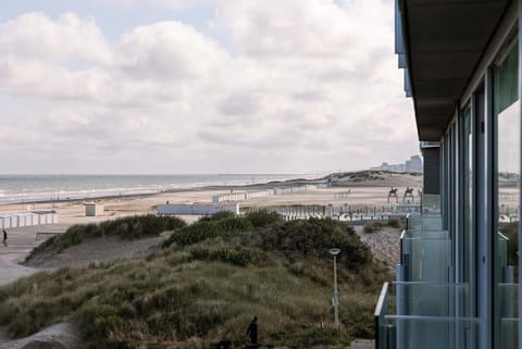 On the beach